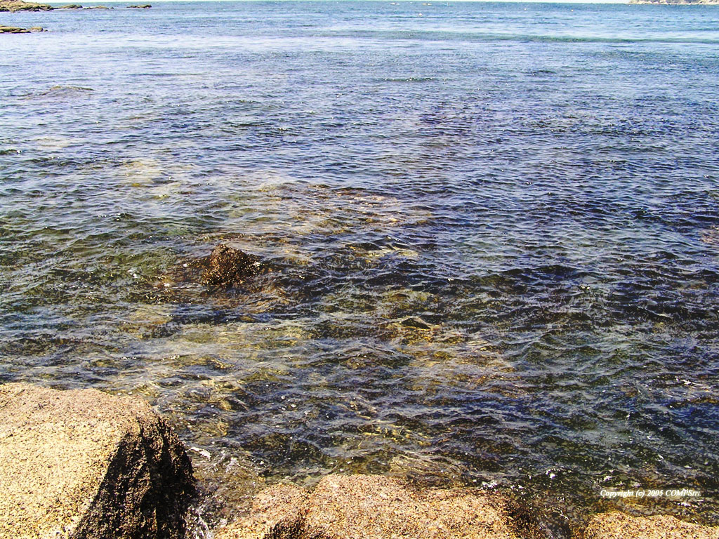 �ǎ� - �R���s���[�^��A�[�g