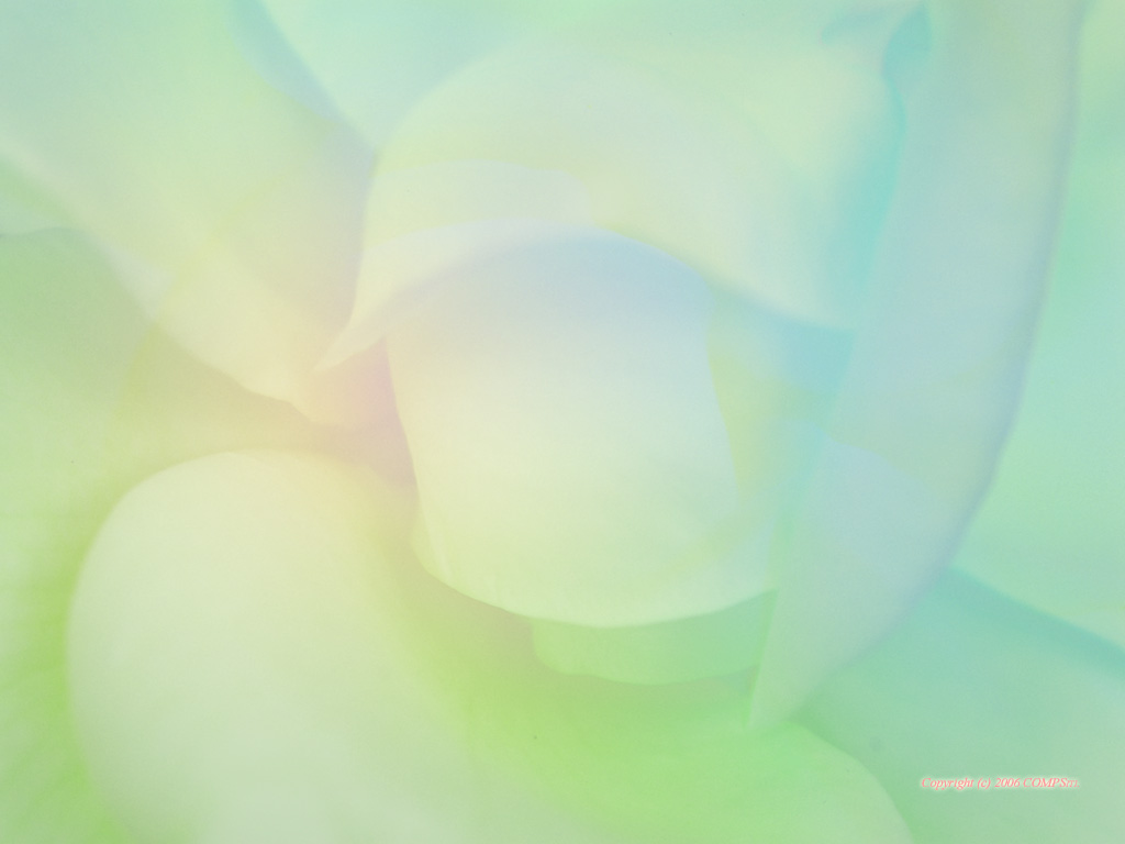 �ǎ� - �R���s���[�^��A�[�g