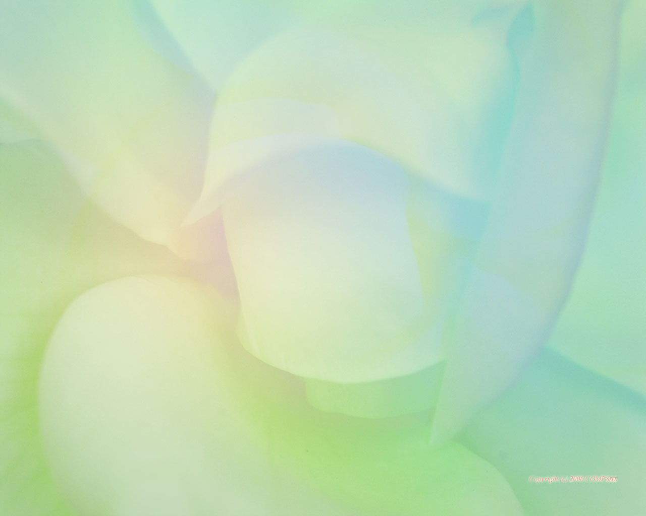 �ǎ� - �R���s���[�^��A�[�g