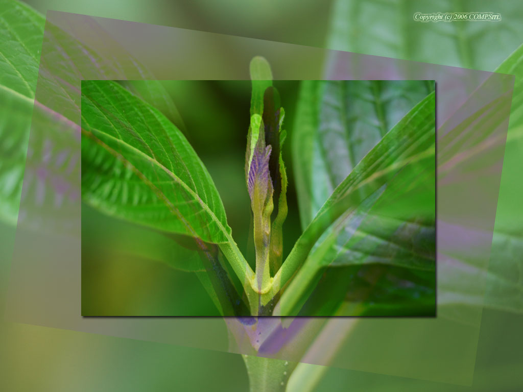 �ǎ� - �R���s���[�^��A�[�g