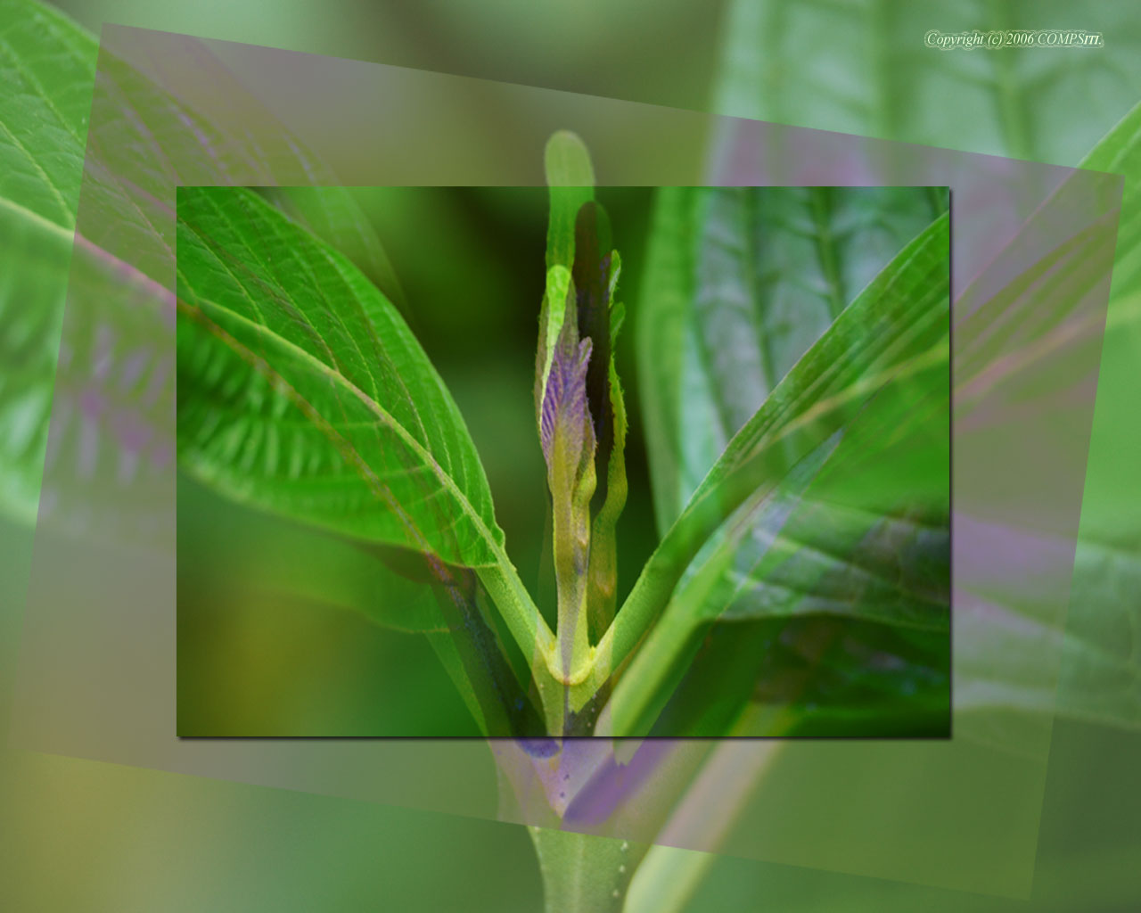 �ǎ� - �R���s���[�^��A�[�g