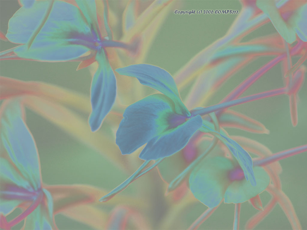 �ǎ� - �R���s���[�^��A�[�g