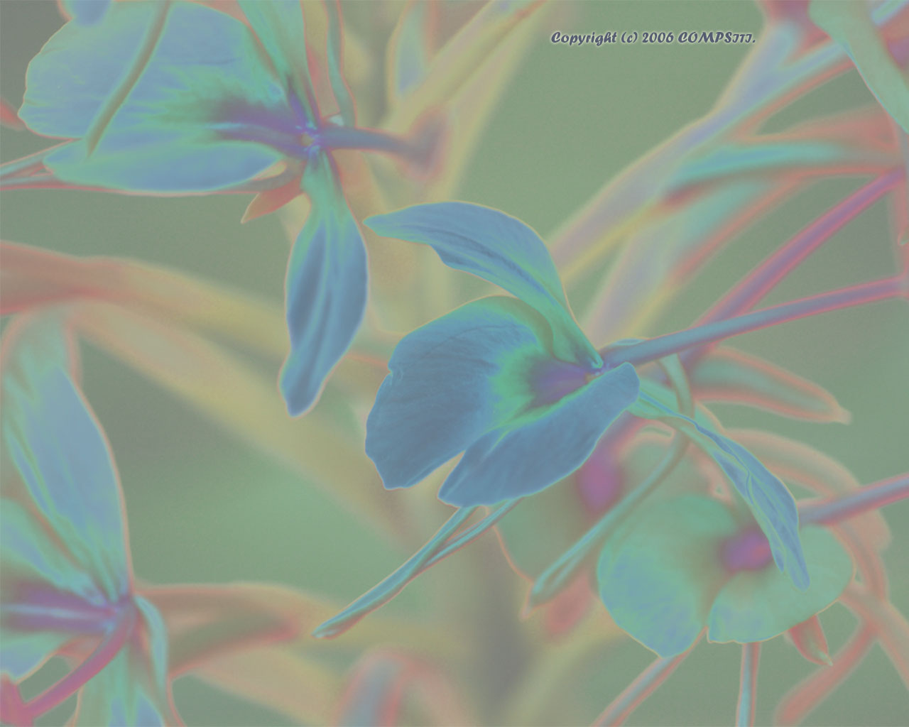 �ǎ� - �R���s���[�^��A�[�g