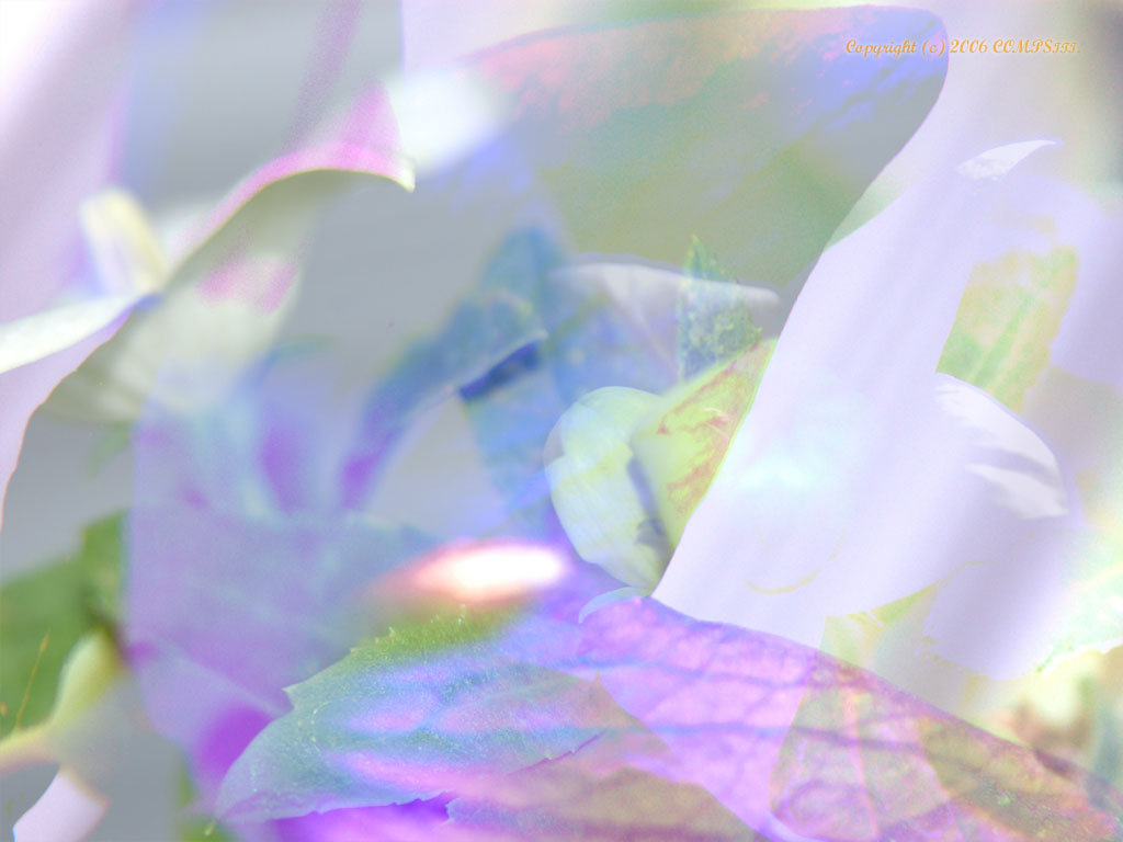 �ǎ� - �R���s���[�^��A�[�g
