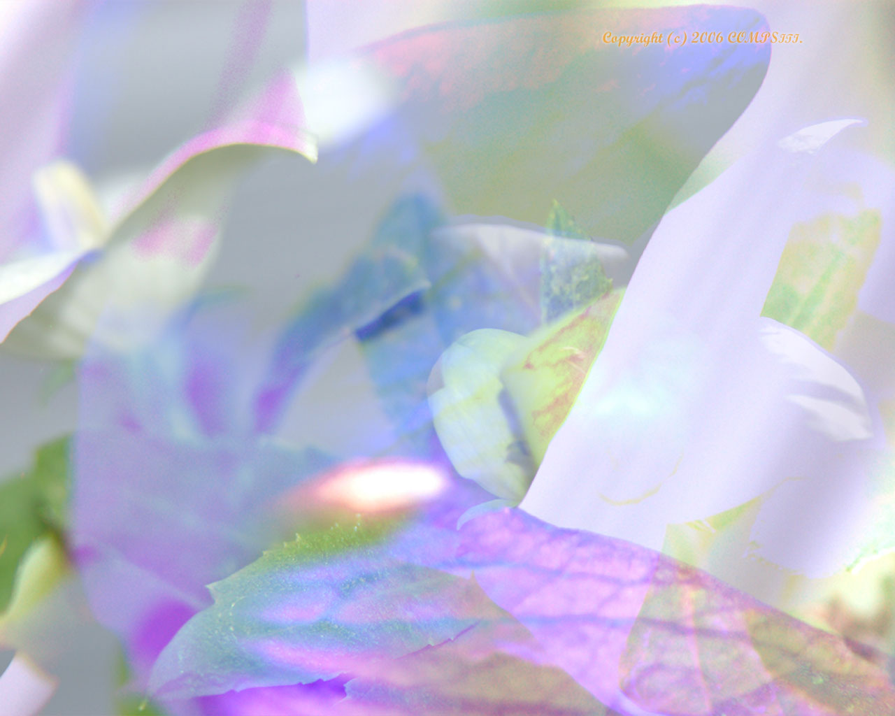 �ǎ� - �R���s���[�^��A�[�g