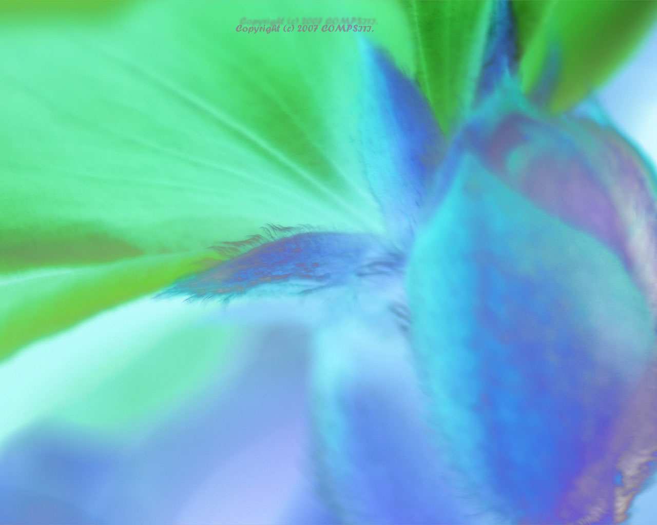 �ǎ� - �R���s���[�^��A�[�g