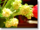 �R���s���[�^�A�[�g�ǎ�