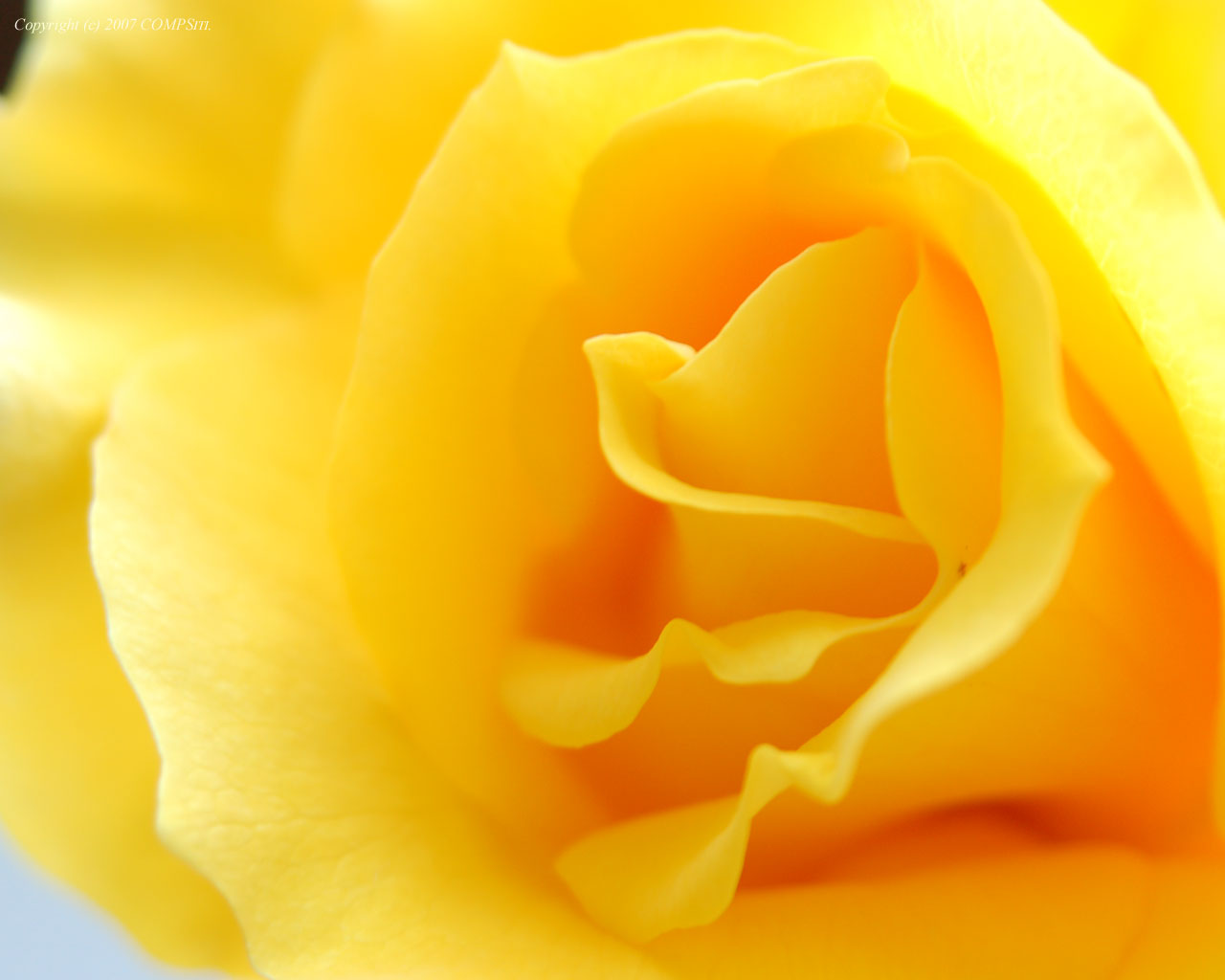 �ǎ� - �Ō�̃o��